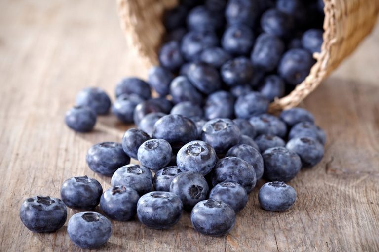 Le proprietà dei mirtilli