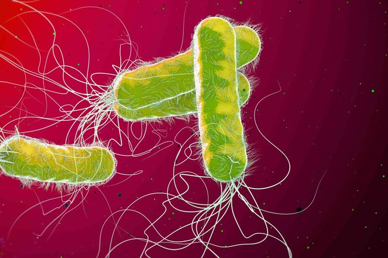 Farmaci nel latte Farmaci nel latte: trovate tracce