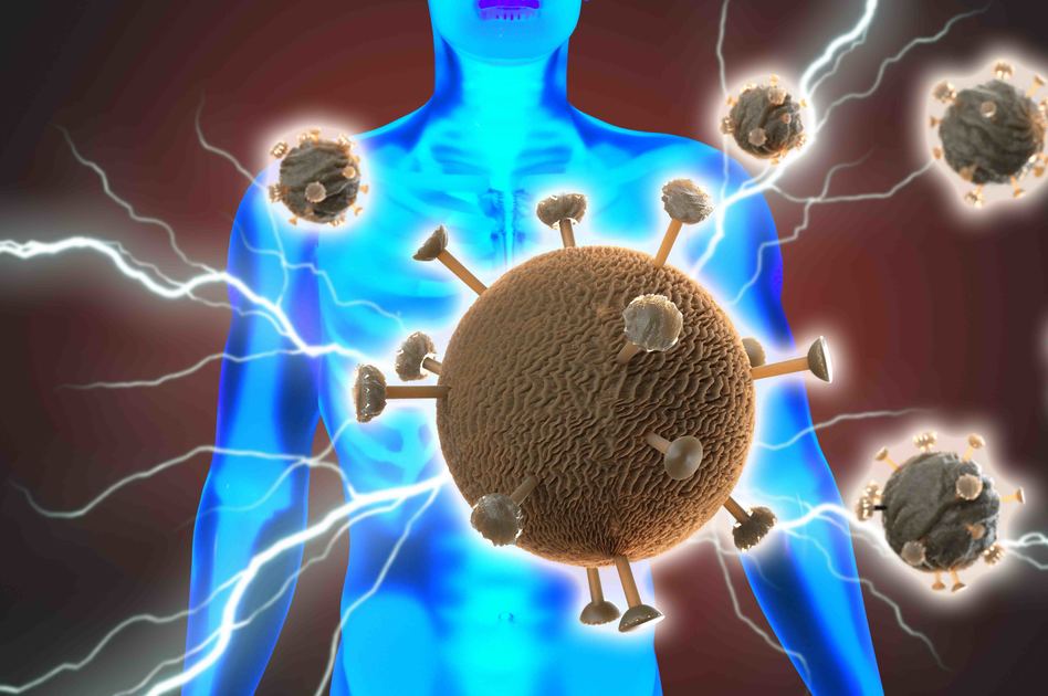 Sopravvivenza Coronavirus: resiste nove giorni sulle superfici