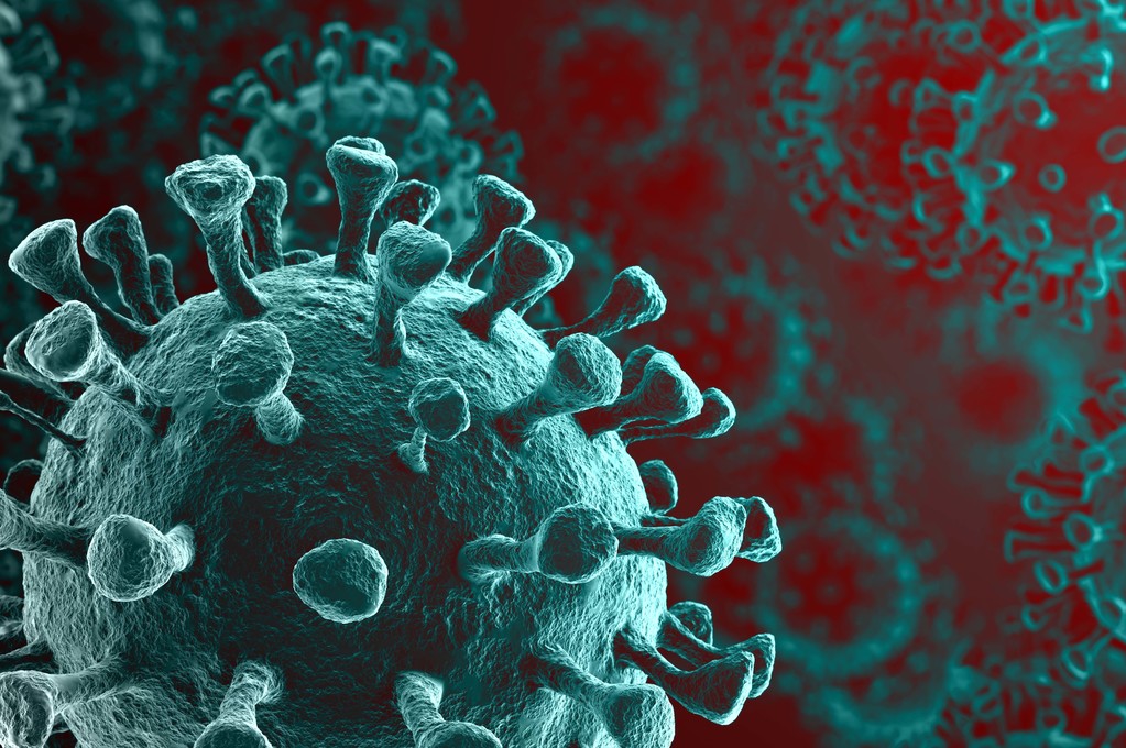 Coronavirus in Italia: gli aggiornamento