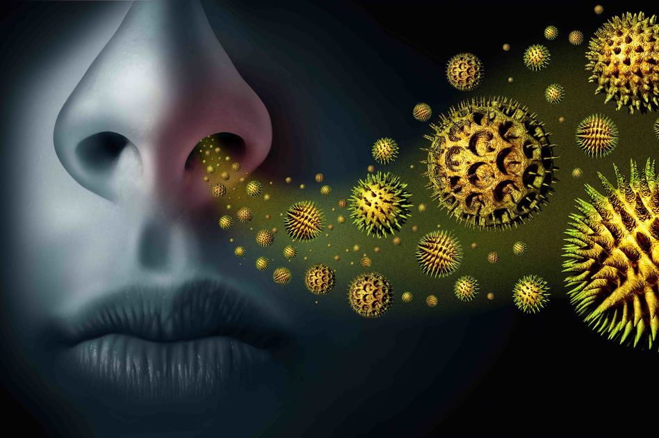Respirare Allergeni, come il Polline
