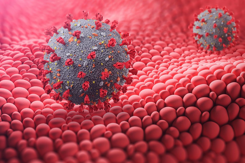 Mortalità Coronavirus: chi rischia di più?