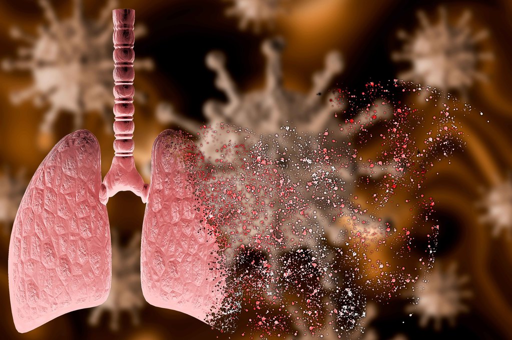 Coronavirus andamento stagionale: picco tra la fine del 2020 e l'inizio del 2021