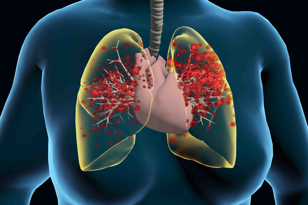 Cuore e Coronavirus: il legame