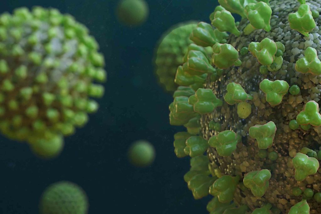 Coronavirus tutte le curiosità