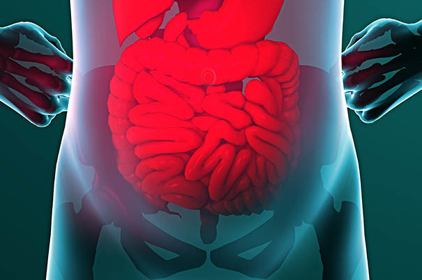 Coronavirus e apparato digerente: nausea, vomito e diarrea tra i sintomi