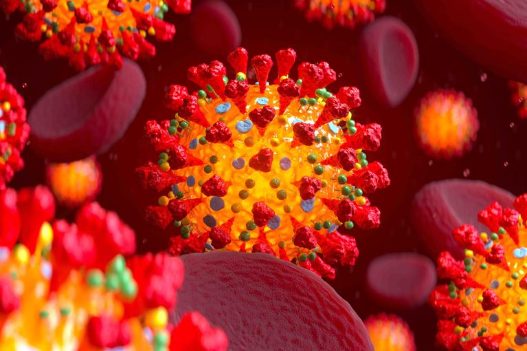 Coronavirus Coronavirus e Test