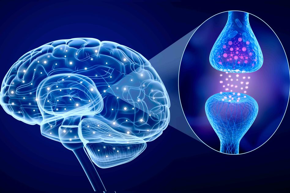 SLA: sintomi, cause e terapie