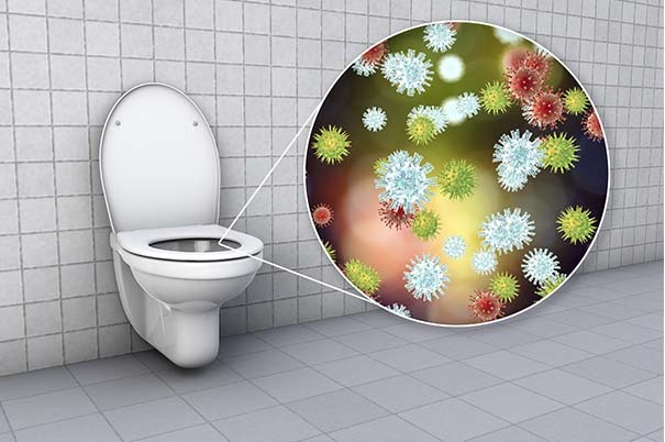Virus e wc: veicolo di contagio