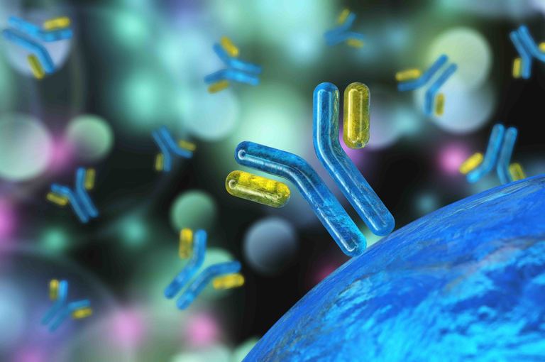 Sistema immunitario e Vitamina D