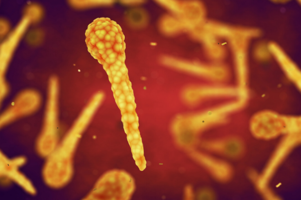 Vaccino contro il tetano: come funziona