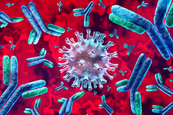 Coronavirus anticorpi: ci proteggono oppure no?