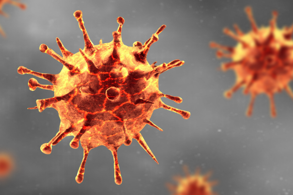 Coronavirus e quercetina: i benefici