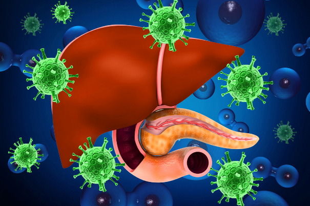 Epatite C e premio nobel per la medicina 2020
