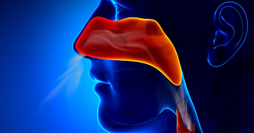 Mucosa del naso intasata e che, di conseguenza, espelle a fatica l'aria dalle narici