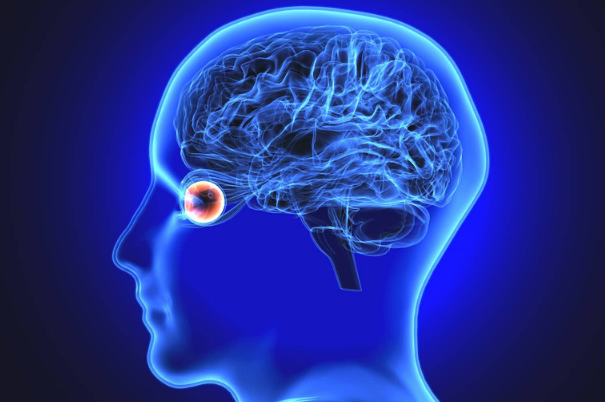 anatomia-occhio-su-sfondo-blu