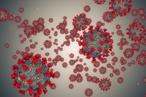 Coronavirus Coronavirus e trasmissione negli ambienti