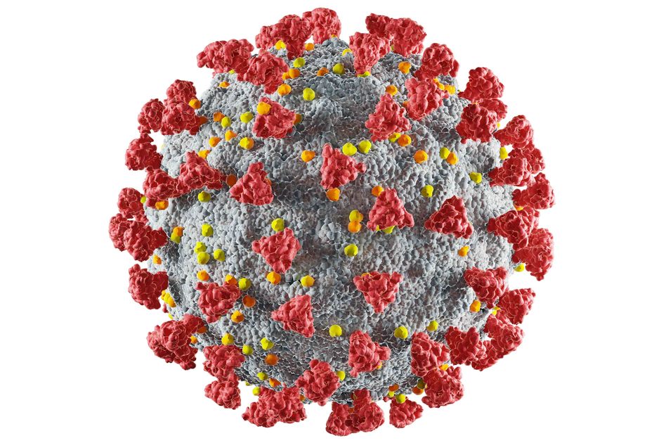 Test Sierologico Coronavirus