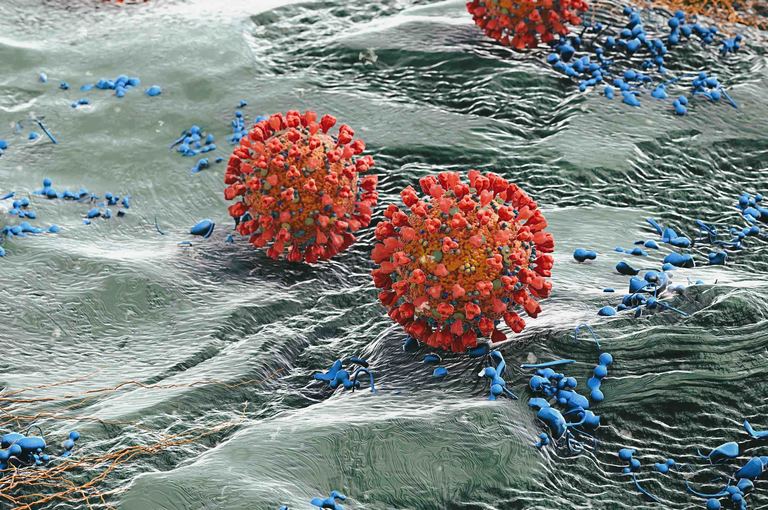 Coronavirus: mutazioni