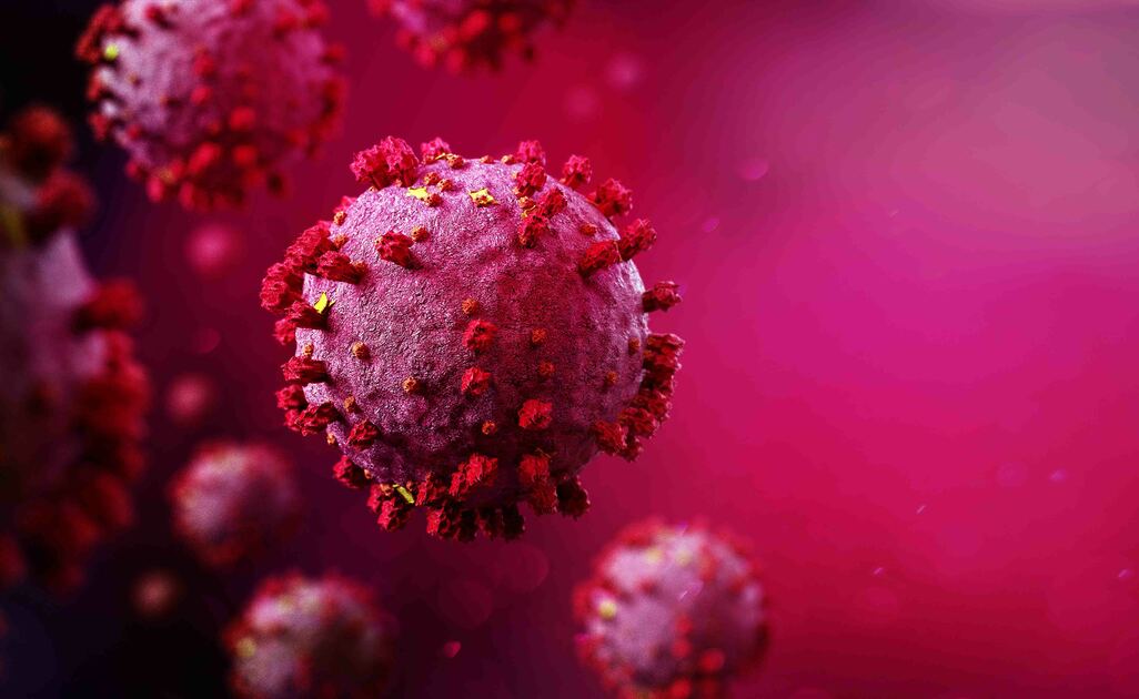 Coronavirus variante sudafricana