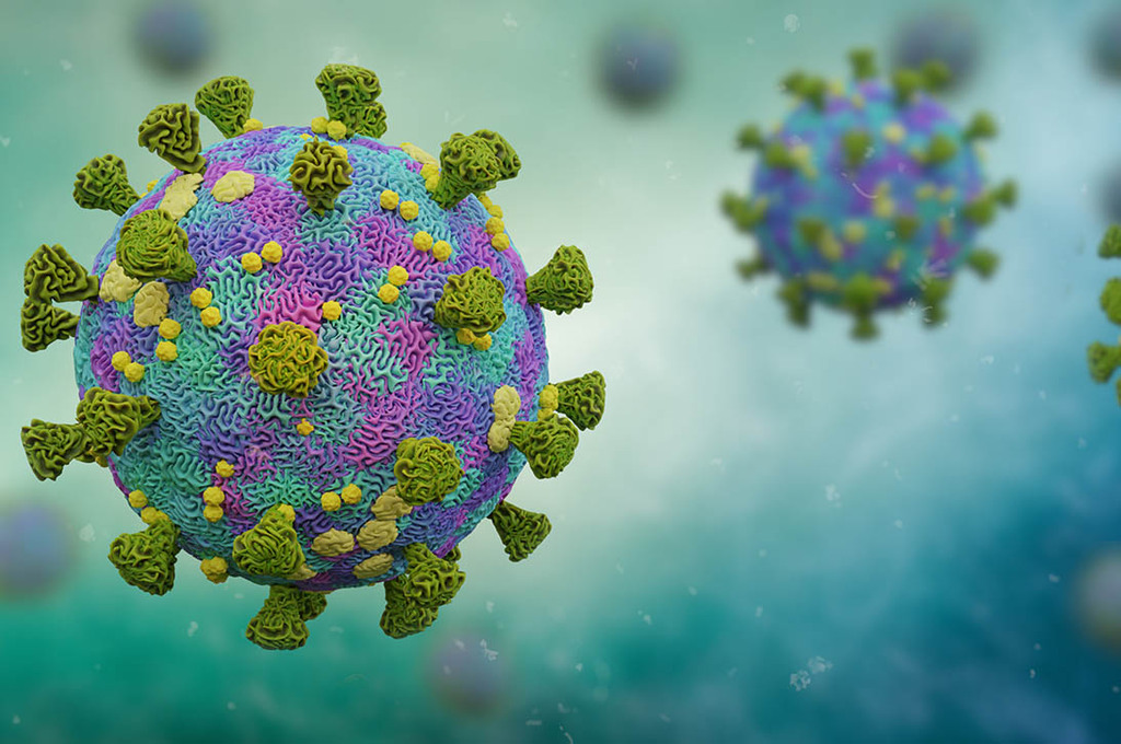 Coronavirus e immunità