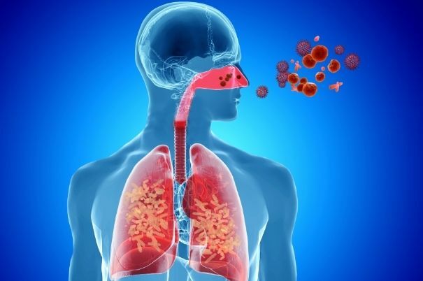 Virus e Allergeni Penetrano nell'Apparato Respiratorio Umano