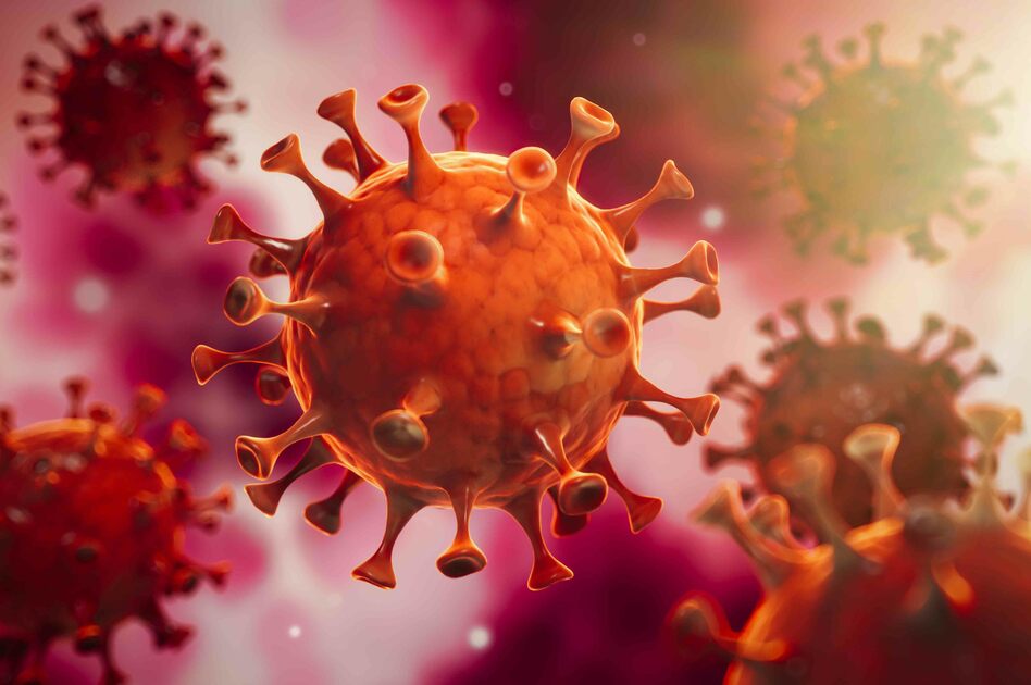 Nuovo Coronavirus: Durata Immunità