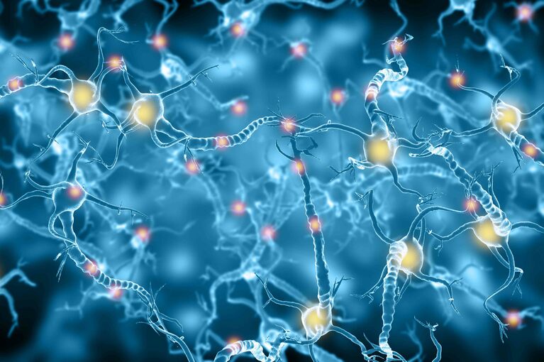 Cura per l'Alzheimer: il Sì al Primo Farmaco