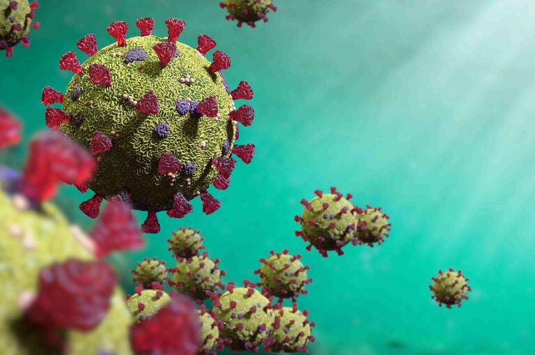 Sistema immunitario, farmaci e Vaccino Anti-Covid