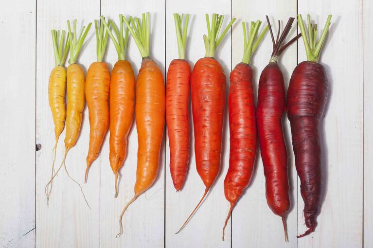 Colore Carota: La Storia