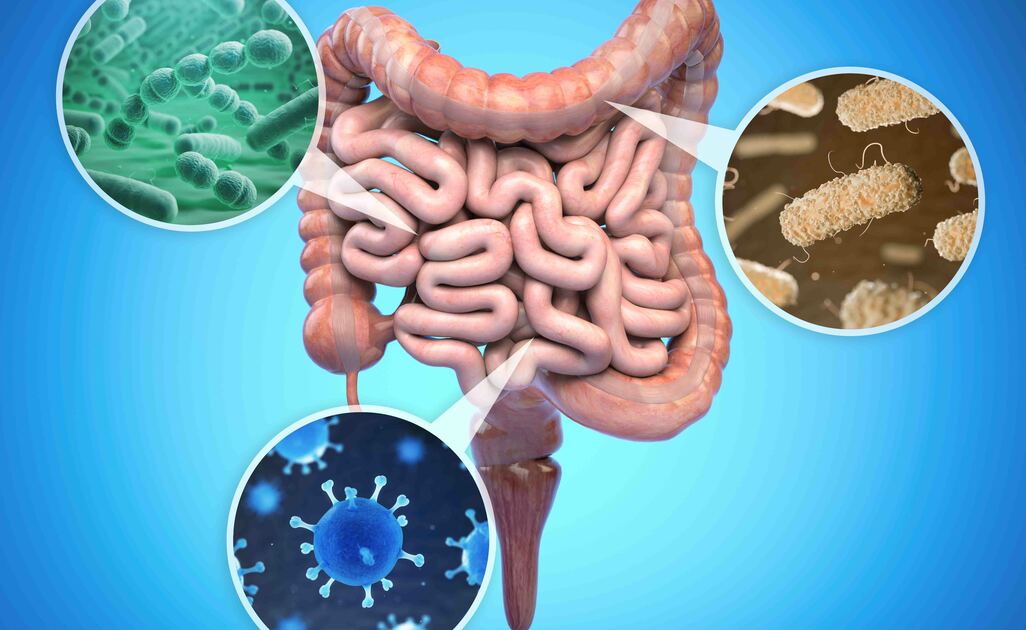 Microbioma intestinale: Cosa è