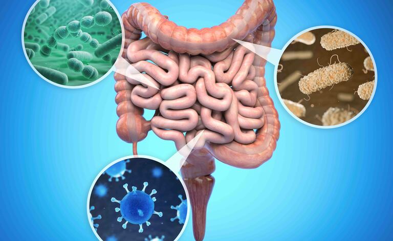 Microbioma intestinale: Cosa è