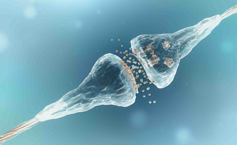 SLA: studio sui bambini