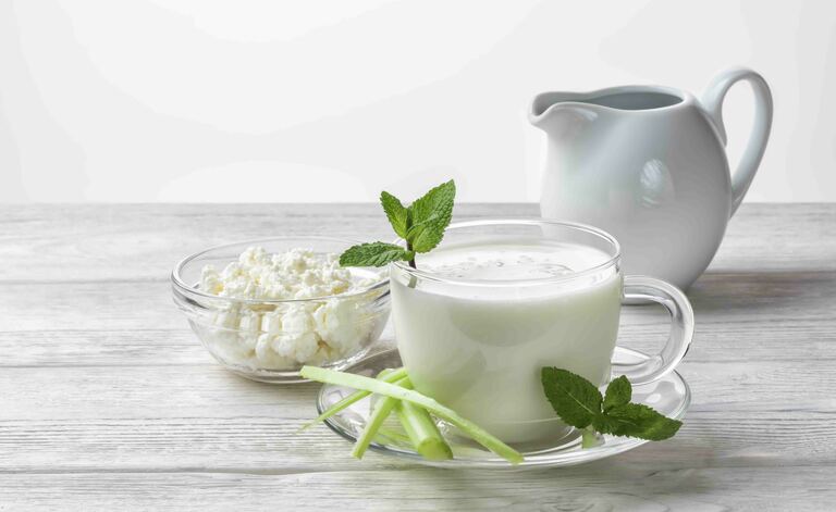 Dieta Probiotica: Effetti