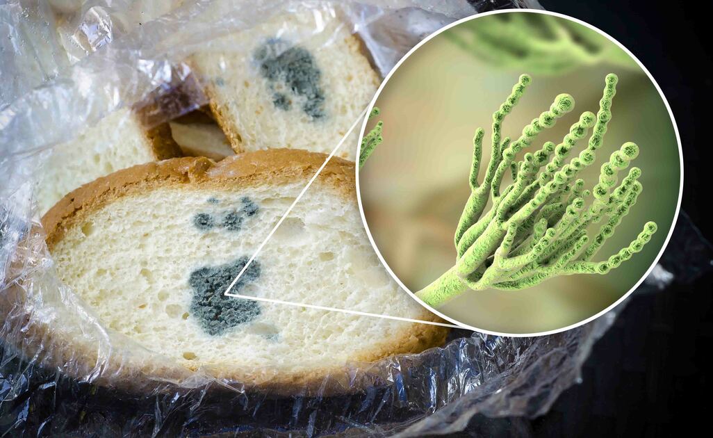 Alimenti scaduti: come riconoscerli