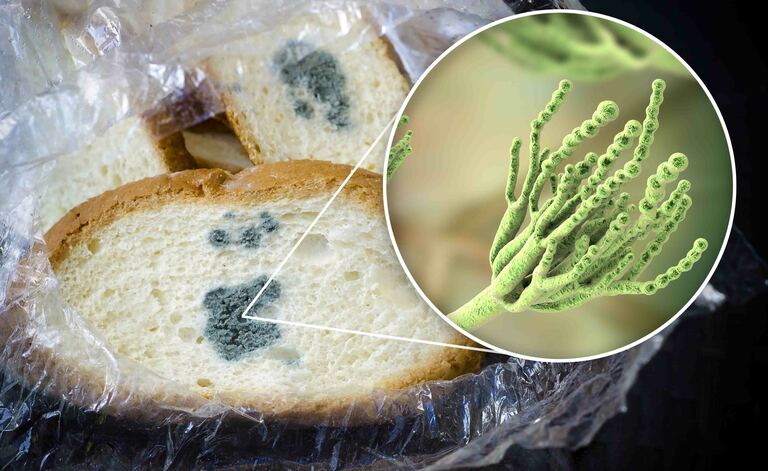 Alimenti scaduti: come riconoscerli