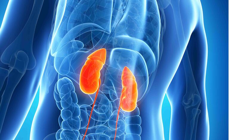 Insufficienza renale: Cosa mangiare