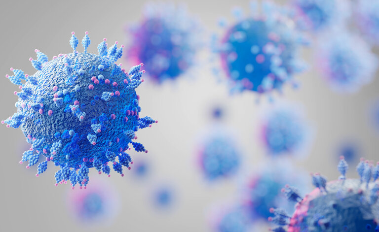 Variante XE: Cosa Sapere