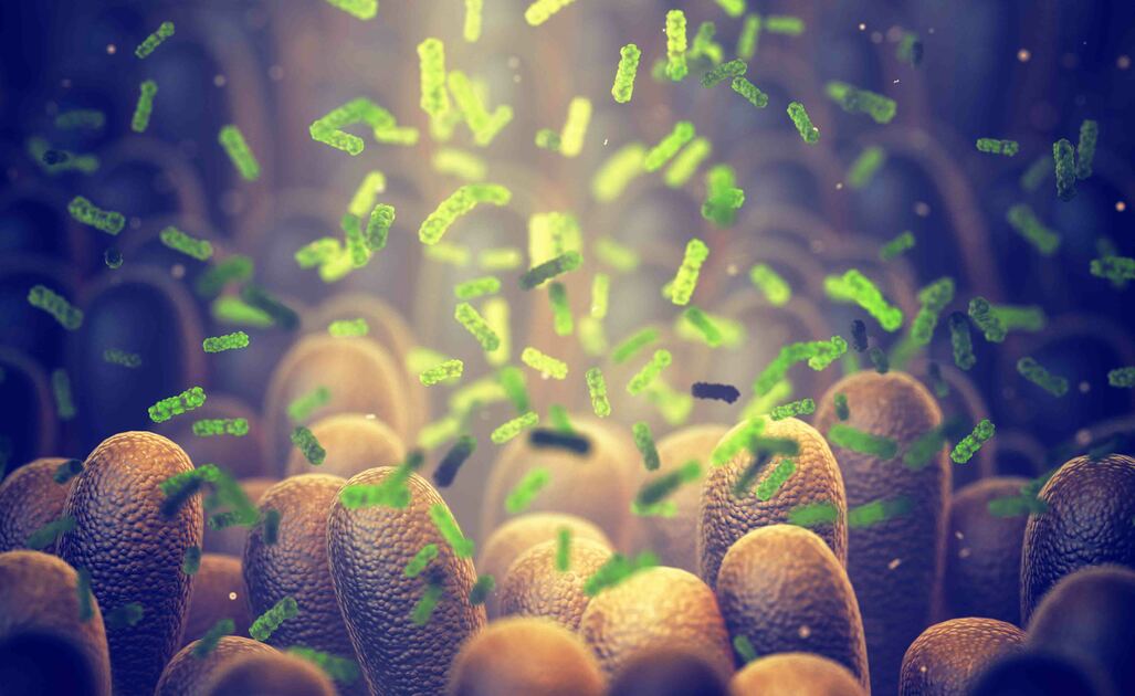 Intolleranza Lieviti