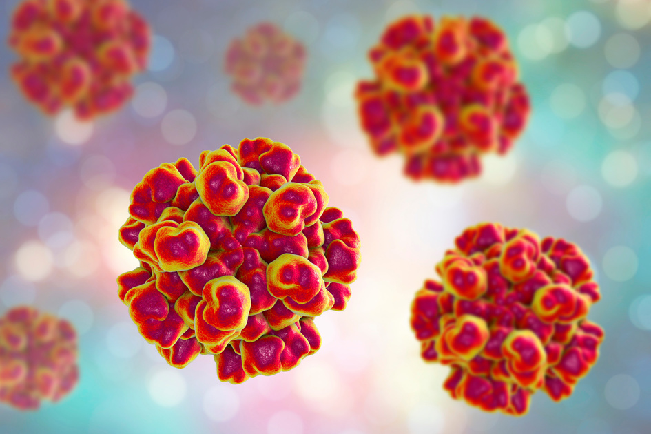 Epatite Acuta Nei Bambini, La Parola All'Esperto