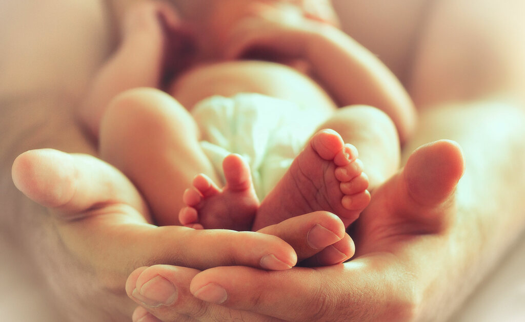 Criptorchidismo: le Cause 