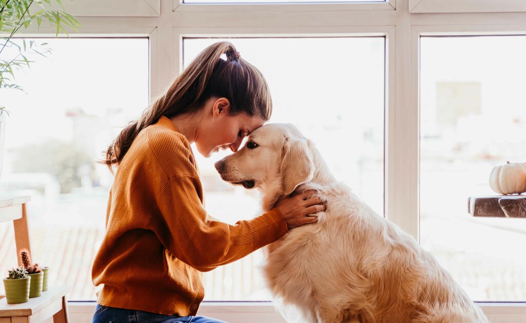 I Benefici Della Pet Therapy