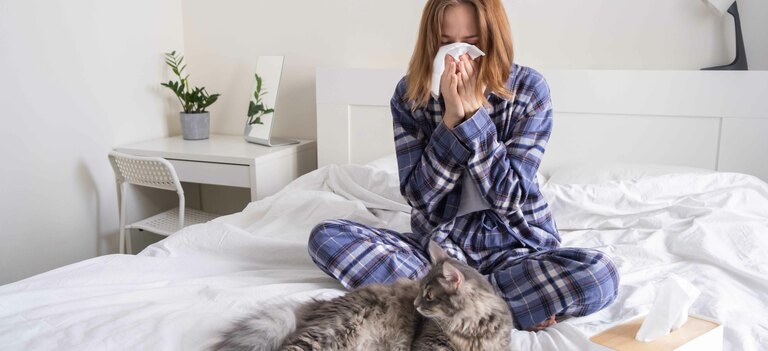 Esistono gatti anallergici?