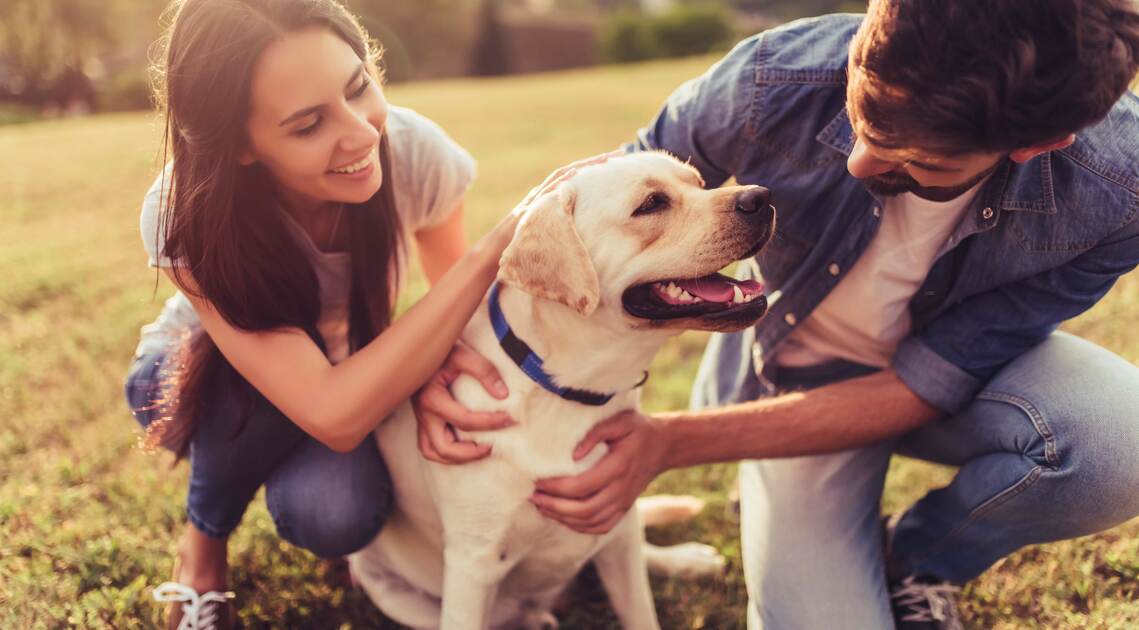 Nomi per cani maschi: quali sono?