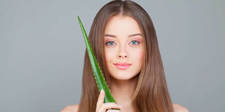 Aloe vera e capelli: un focus