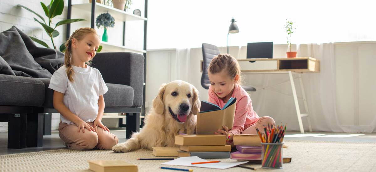 Razze di cani per bambini: quali sono?