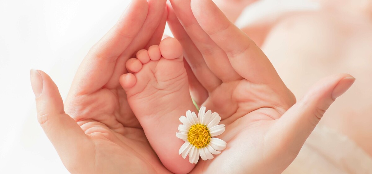 Camomilla ai neonati: si può dare?