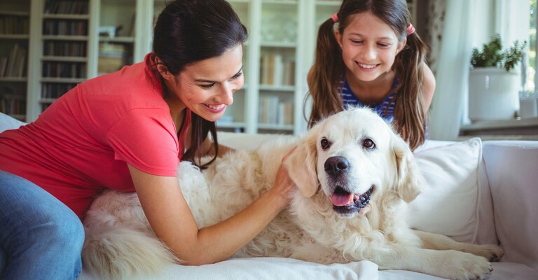 Quanto vive un cane in media: ecco i fattori che influiscono