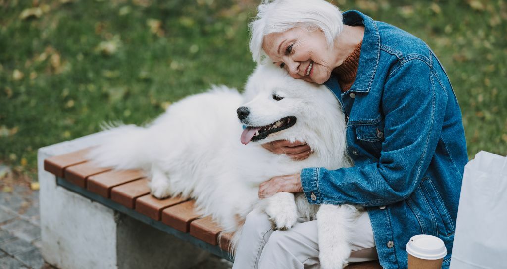 Le più significative frasi sui cani: la raccolta definitiva Le più significative frasi sui cani: la raccolta definitiva