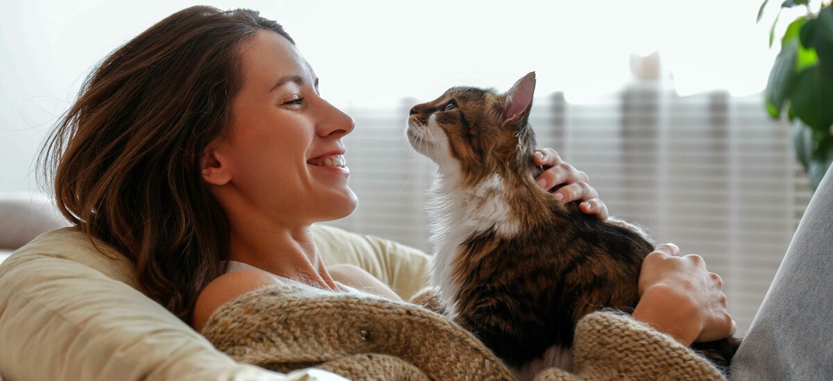 Scopriamo come calcolare l'età dei gatti